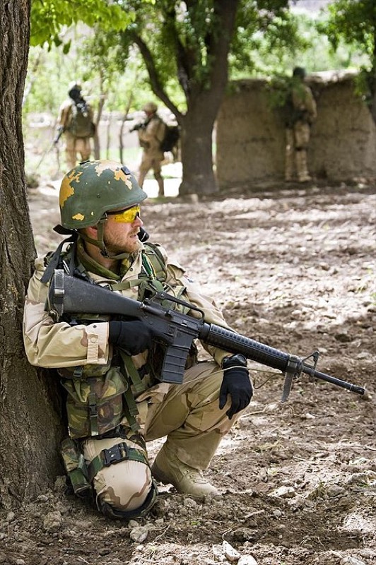 Colt C7/C8 (Canadian)