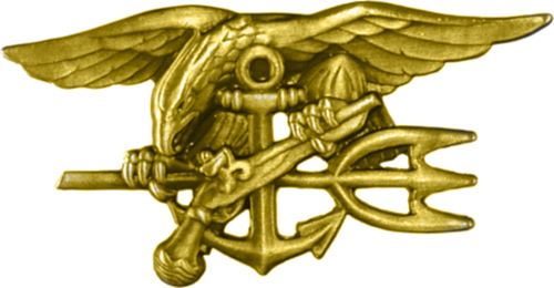 US Navy SEALs (DEVGRU / SEAL Team 6)
