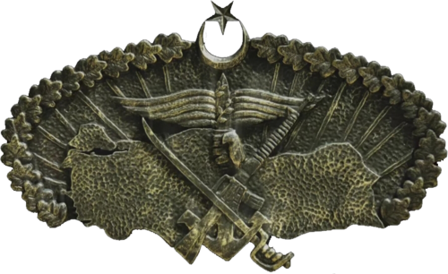 KSO (Turkish Special Forces)